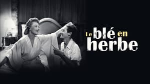 Le Blé en Herbe — foto 4