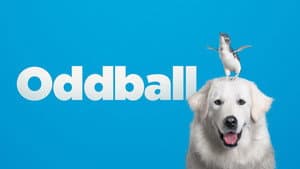 Oddball y sus pingüinos — foto 1