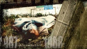 Inass, la petite martyre de l'A10 — foto 1