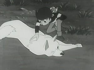 Episodio 14