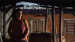 O Nordeste sob a Caravana Farkas — foto 2
