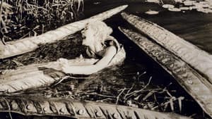 Voodoo Island — foto 1