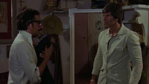El Dia Del Compadre — foto 4