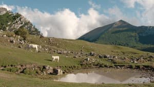 Il buco — foto 12