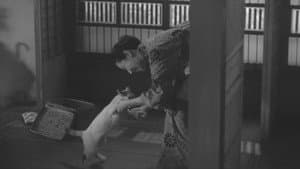 猫と庄造と二人のをんな — foto 2