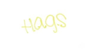 H.A.G.S. (Have a Good Summer) — foto 2