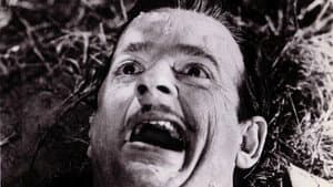 Monster a Go-Go! — foto 2