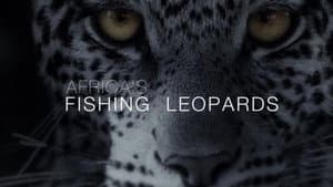 Africa's Fishing Leopards — foto 1