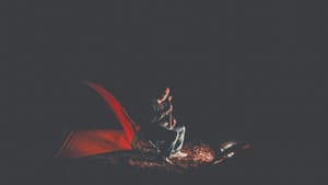Something Walks in the Woods — foto 1