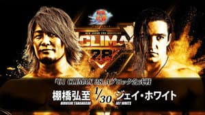 NJPW G1 Climax 28: Day 3 — foto 1