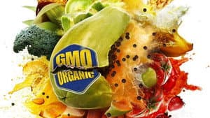 Food Evolution — foto 2