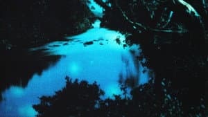 Of This Beguiling Membrane — foto 1