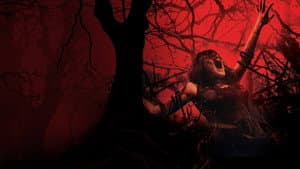 Posesión Infernal — foto 12