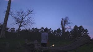 Xadrez Espelhado — foto 4