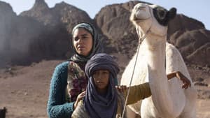 Zodi y Tehu, Aventuras en el desierto — foto 4
