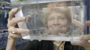 Mujeres en la ciencia — foto 5