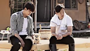 삼시세끼 정선편 — foto 1