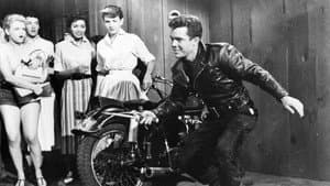 Motorcycle Gang — foto 1