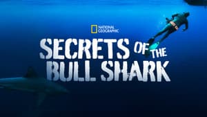 Secrets of the Bull Shark — foto 4