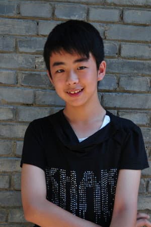 Liu Wenqing
