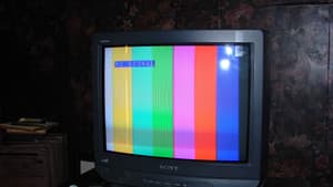 Tick — foto 2