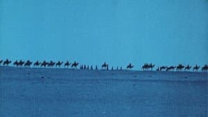 L'Atlantide — foto 12