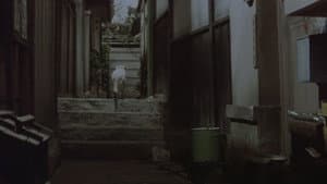 女は二度生まれる — foto 3
