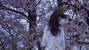 さくら、手のひら — foto 2