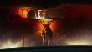 La estimacion de Bambi — foto 2