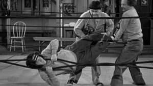 Fling in the Ring — foto 2