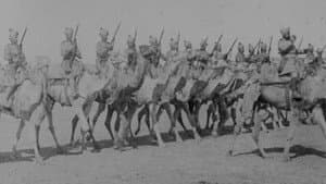 Delhi Durbar — foto 1