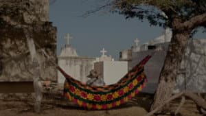 Los sueños viajan con el viento — foto 1