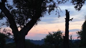 Jörg Schmidt-Reitwein: Ways of Seeing — foto 3