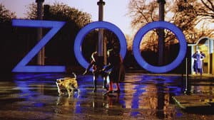 A Zed & Two Noughts — foto 6