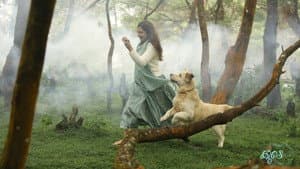 കൂടെ — foto 1