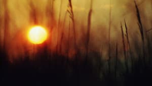 Sun Don't Shine — foto 5