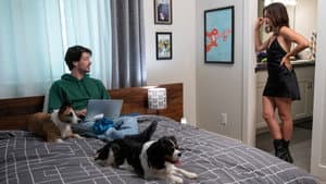 Amor De Cachorros — foto 6