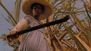 Sankofa — foto 1
