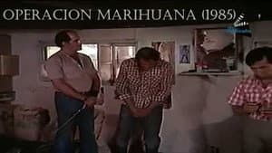 Operacion marihuana — foto 1
