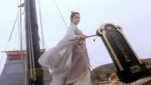 新仙鶴神針 — foto 2