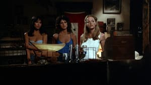 Tourist Trap — foto 5