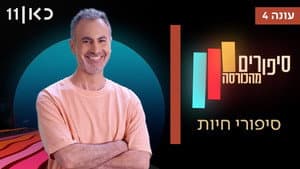 Episodio 5