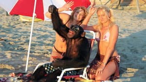 Funky Monkey — foto 5