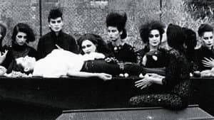 Bad Blood for the Vampyr — foto 2
