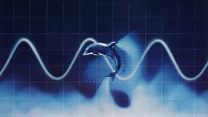 The Day of the Dolphin — foto 2
