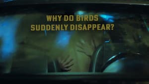 Why Do Birds Suddenly Disappear? — foto 3