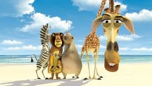Madagascar — foto 5