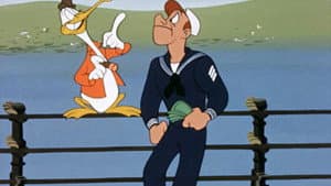 The Sailor and the Seagull — foto 1