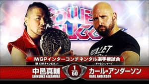 NJPW Power Struggle 2015 — foto 1