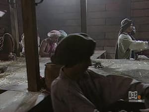 Episodio 11